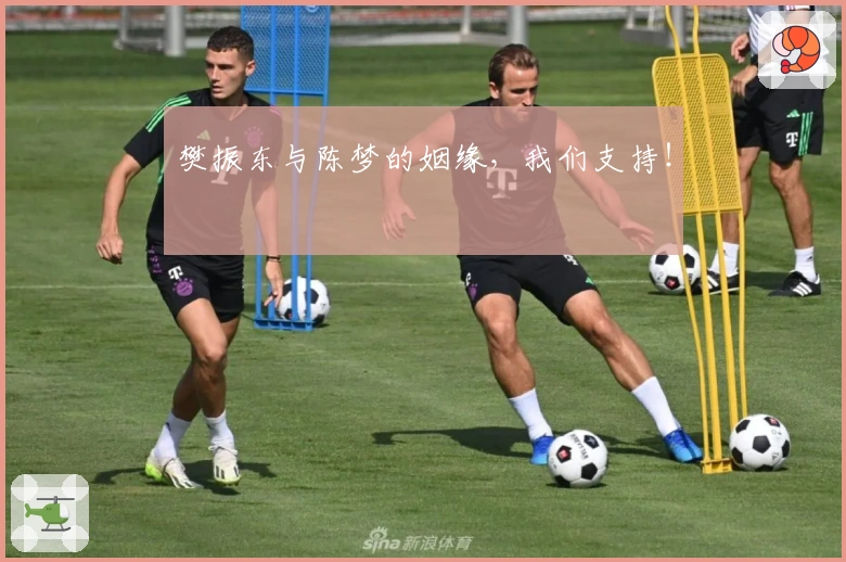 樊振东与陈梦的姻缘，我们支持！