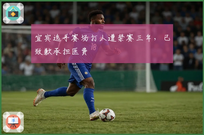 宜宾选手赛场打人遭禁赛三年，已致歉承担医费